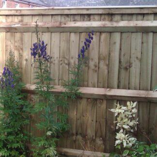 Closeboard Fencing