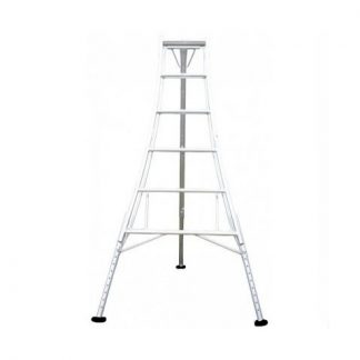 Hendon ladder