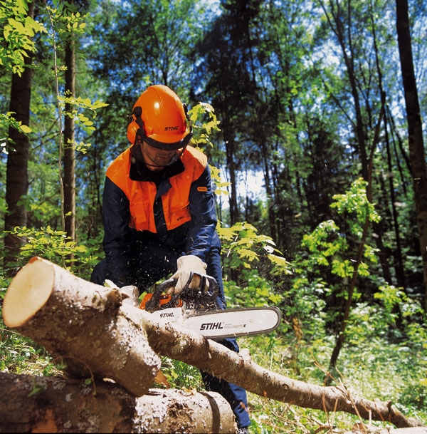 STIHL MS291 Chainsaw - Image 2