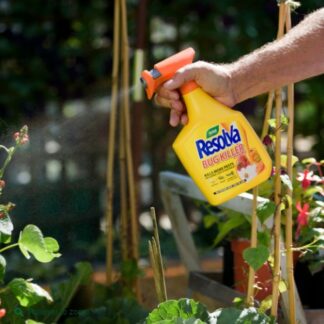 Pest Control