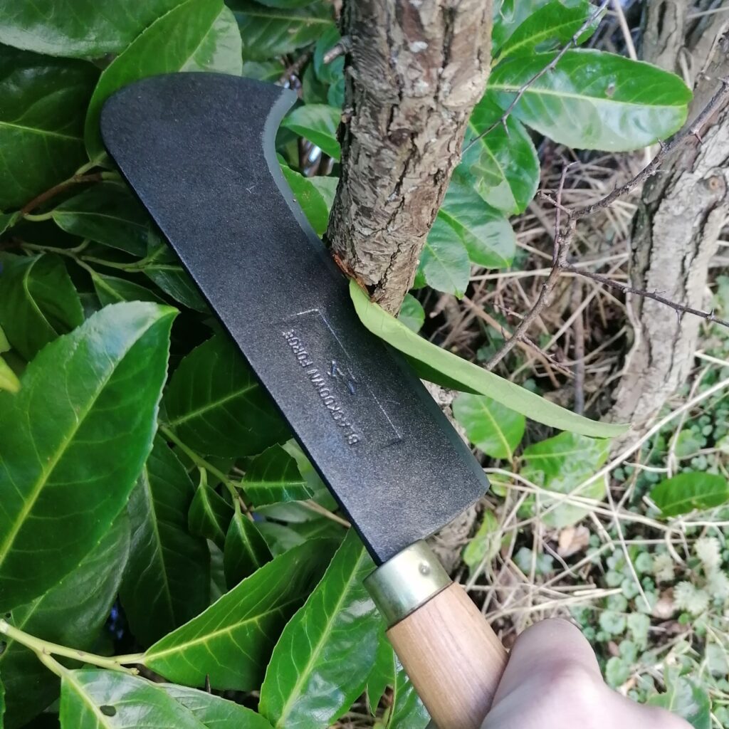 Hedge Laying