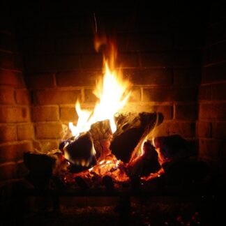 Coal and Logs