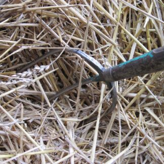 Hay and Manure Forks