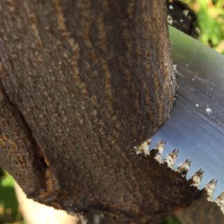 Pruning Saws