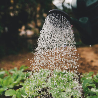 Watering & Irrigation