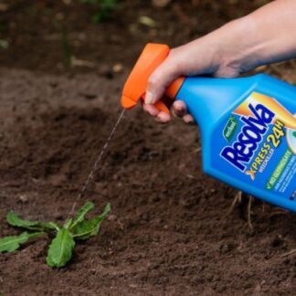 Weed Killers and Tree Stump Killers