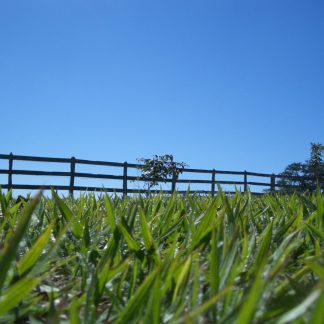 Agricultural Farm Fencing
