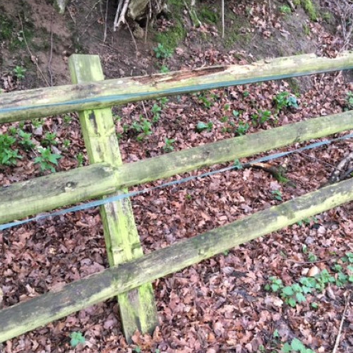 ROTTEN FENCE POSTS