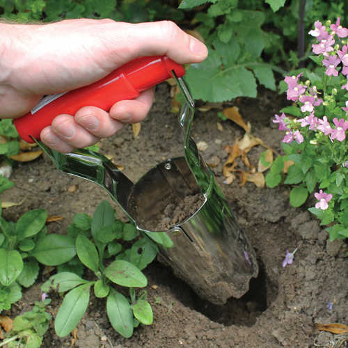 Darlac Bulb Planter