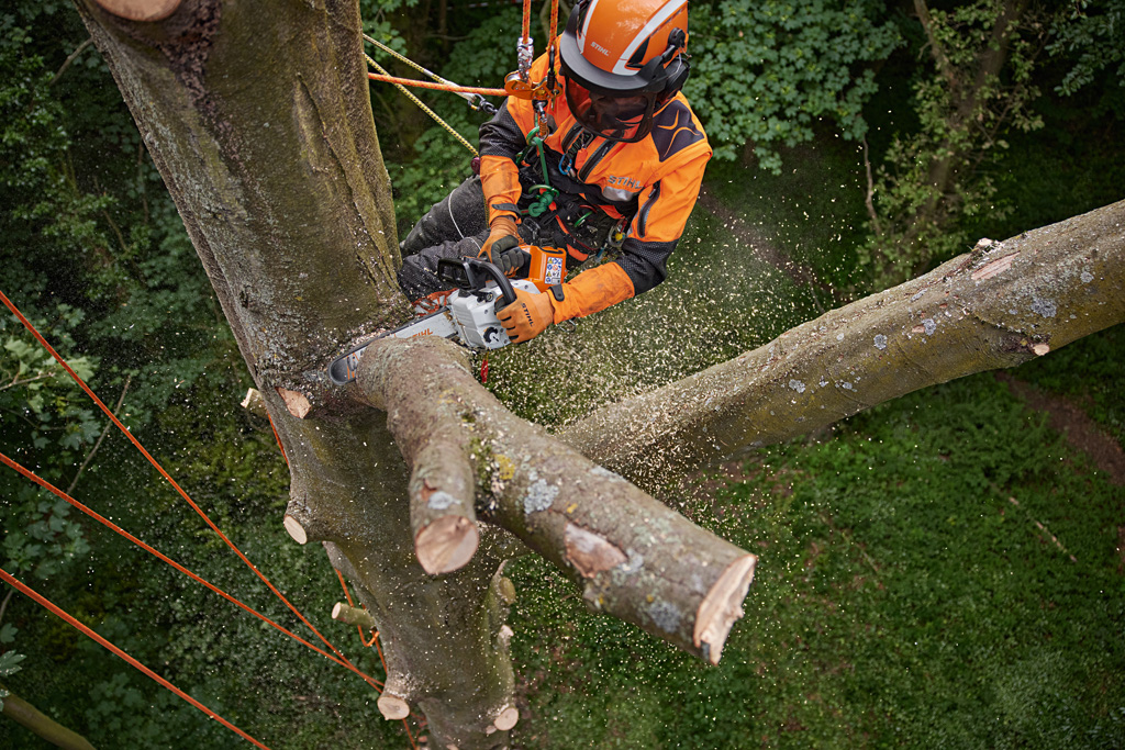 Top Handle Chainsaws