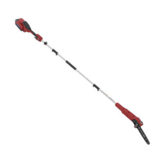 TORO Flex-Force 60V Cordless Pole Saw - 51847T