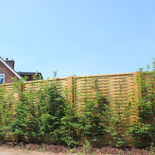 Jacksons woven fence panel