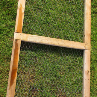 Chicken Run Door