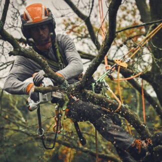 Saws, Pruning & Milling